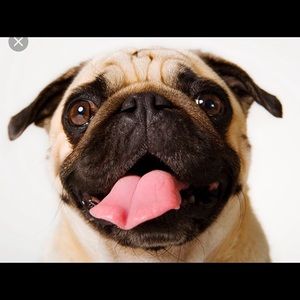 Meet your Posher, Nagarajan